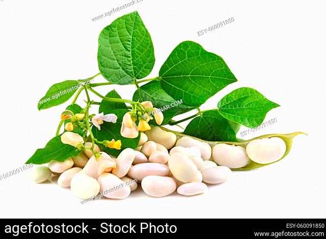 Fresh edamame soy beans with flowers and leaves on white background