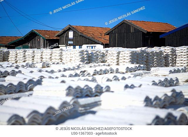 Oyster farming of Gujan Mestras, in Arcachon Basin  Gironde department, Aquitania region  France