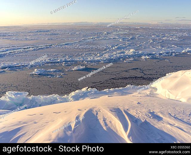 Frozen Disko Bay during winter, West Greenland, Disko Island in the background. America, North America, Greenland, Denmark