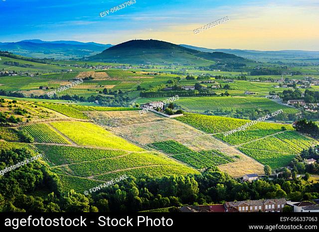 Brouilly hill and vineyards with morning lights in Beaujolais land, France