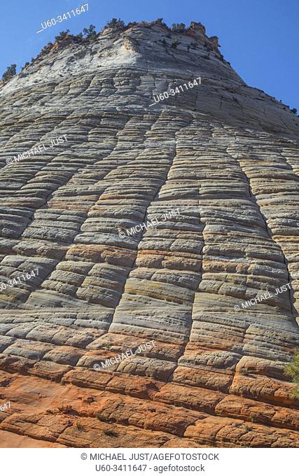 Cross-bedding and erosion has shaped Checkerboard Mesa at Zion National Park, Utah