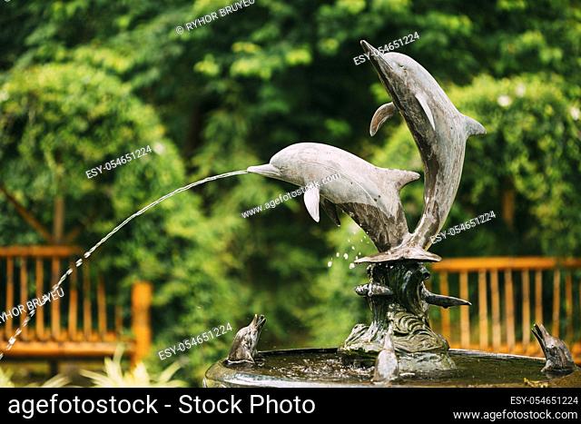 Fountain In The Form Of A Dolphin Statue In The Batumi Botanical Garden. Batumi, Adjara Georgia. Sunny Day At Summer Season