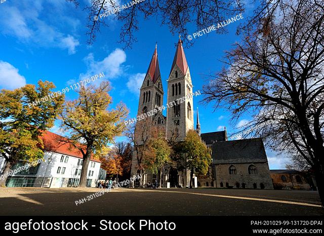 29 October 2020, Saxony-Anhalt, Halberstadt: Halberstadt Cathedral. In the morning, about 2500 galleries were stored in the cathedral's Remterkeller