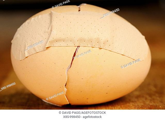 Stock photo of a broken eggshell taped back together with a sticking plaster