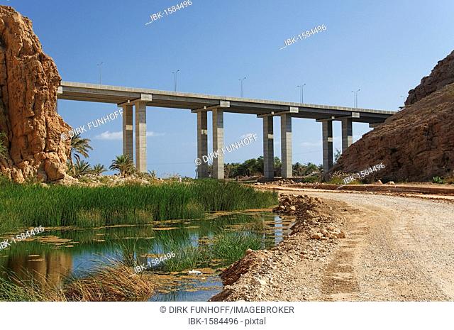 Bridge, highway Muscat - Sur near Wadi Tiwi, Oman, Middle East