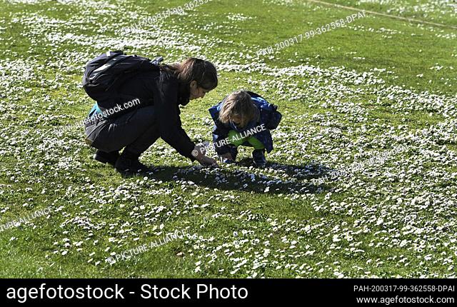 17 March 2020, North Rhine-Westphalia, Cologne: A mother and her daughter are picking daisies in the sun at the Rheinpark in springlike temperatures