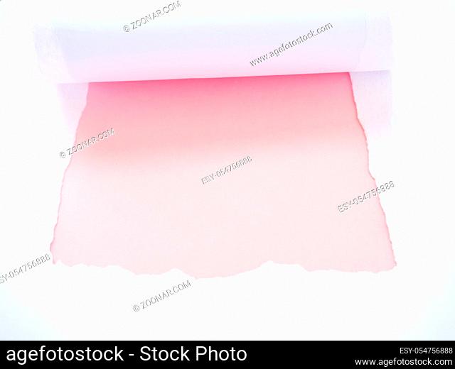 Torn white paper isolated on pastel pink