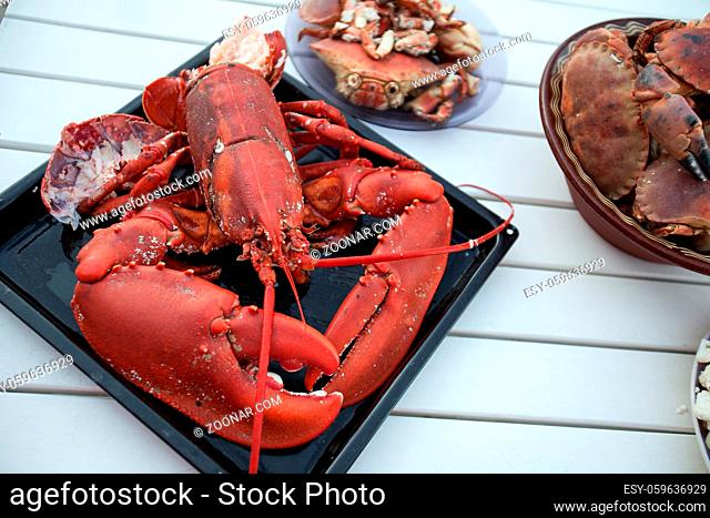 freshly cooked lobster lying on baking tray. outside shot in Norway. copy space
