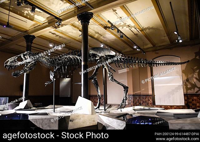 24 January 2020, Berlin: View of the skeleton of a Tyrannosaurus Rex. The exhibit called Tristan Otto will be dismantled on January 27
