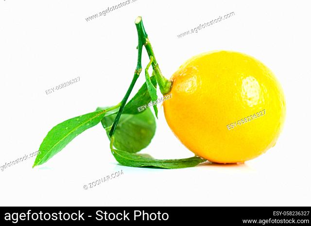 Fresh lemon with leaves on a light background