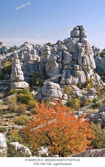 Karstic landscape formed by limestone in El Torcal de Antequera Natural Park, Malaga province, Andalucia, Spain
