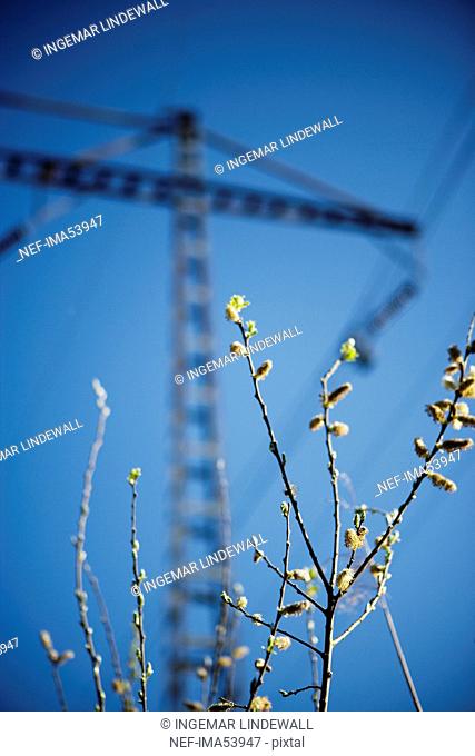 A power transmission line, Sweden