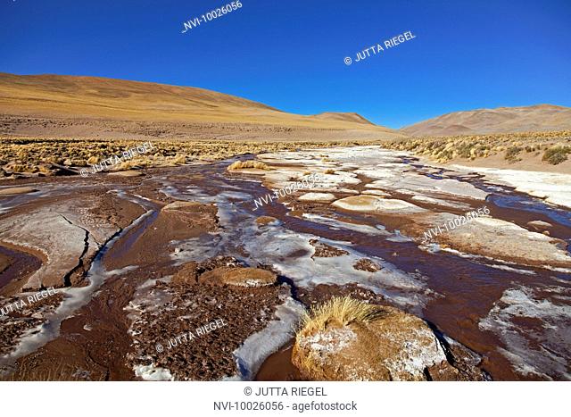 Frozen stream in the Puna desert, Salta Province, Argentina, South America