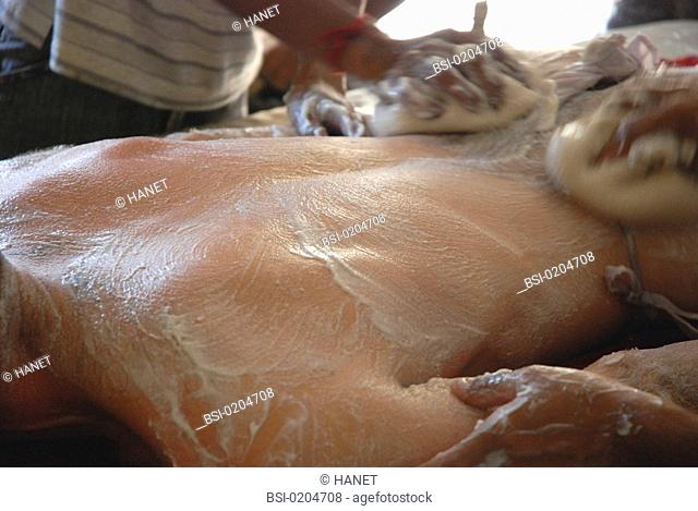 AYURVEDIC MASSAGE Photo essay. Photo essay in Rishikesh India. Sesame oil used in ayurvedic massage Shastika Sali Pinda Sweda also called Navarakizhi see series...