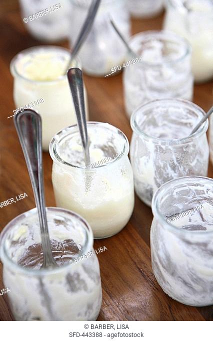 Yoghurt jars with the remains of yoghurt