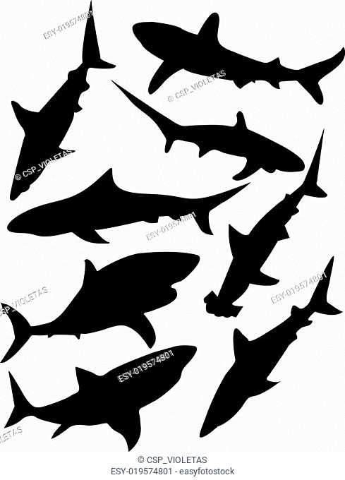 shark collection - vector