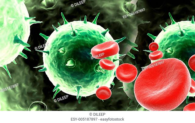 blood cells with virus