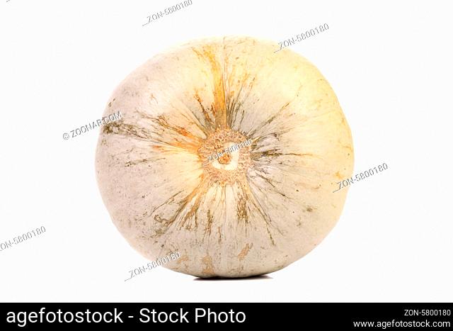 Tail of pumpkin. Isolated on white background