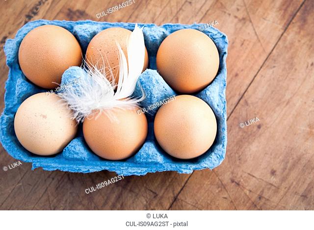 Still life of six brown eggs in blue egg box