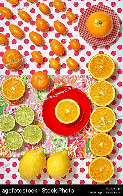Various citrus fruit - lime, lemon, orange, mandarine and kumquats