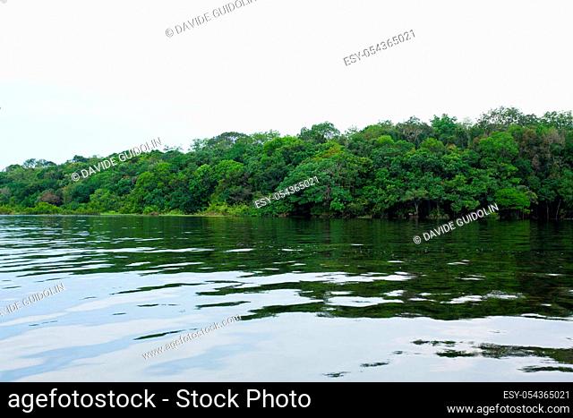 Panorama from Amazon rainforest, Brazilian wetland region. Navigable lagoon. South America landmark. Amazonia