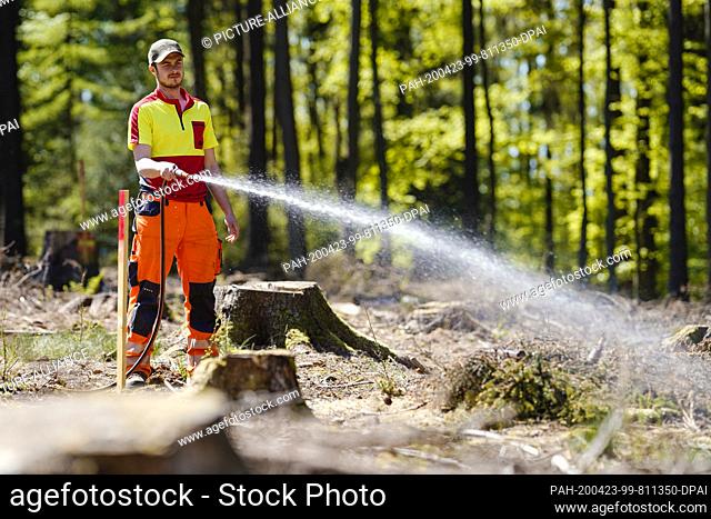 23 April 2020, Baden-Wuerttemberg, Heidelberg: Marvin Müller, an employee at the Heidelberg forestry office, irrigates young trees in a forest clearing