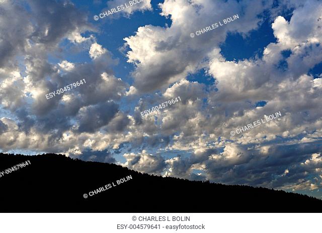 Clouds above a forested ridge in morning light, Grand Teton National Park, Wyoming, USA