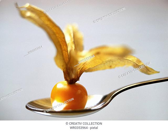 orange fruit on a tea spoon