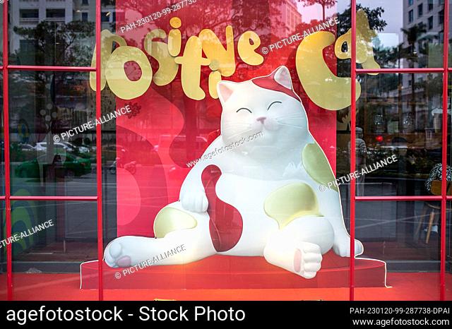17 January 2023, Vietnam, Hanoi: In the run-up to the Year of the Cat, a ""positive cat"" slumbers in the shop window of a large shopping center in Hanoi