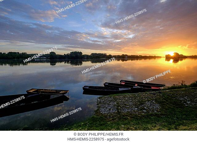 France, Indre et Loire, Loire Valley listed as World Heritage by UNESCO, the Loire river, sunrise