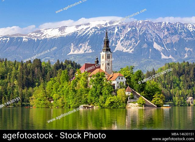 View of lake Bled at in spring with the small island and Assumption of Maria church. Bled, Upper Carniola, Slovenia