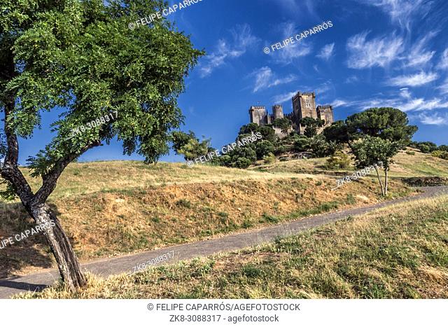 Castle of Almodovar del Rio, It is a fortitude of Moslem origin, it was a Roman fort and the current building has definitely origin Berber