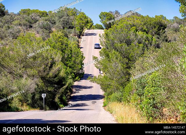 Spain, Balearic Islands, Mallorca, district of Manacor, the internal road, ups and downs like a roller coaster