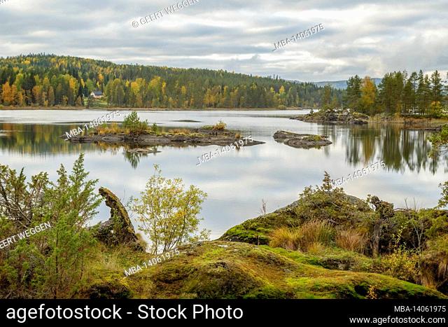 an forest, mountain, lake landscape in sweden