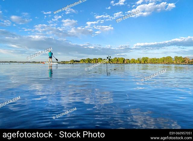 solo stand up paddler on a calm lake in summer morning - Boyd Lake State Park in northern Colorado