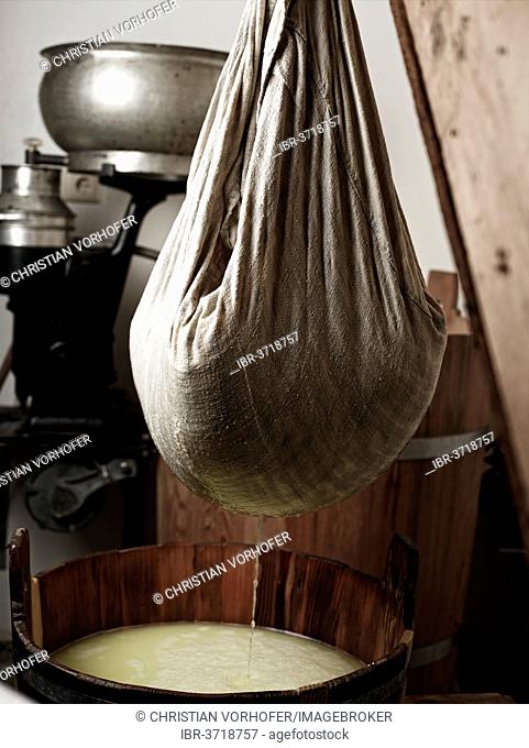 Lifting and pressing curd with a cheese cloth, Steinbergalm, Inneralpbach, Alpbach, Tyrol, Austria