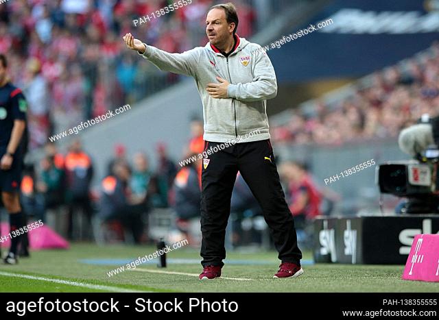 firo: Fuvuball, Soccer: 07.11.2015 1.Bundesliga, Season 2015/2016: FC Bayern Mvºnchen - VfB Stuttgart, FCB, coach Alexander Zorniger (Stuttgart), whole figure