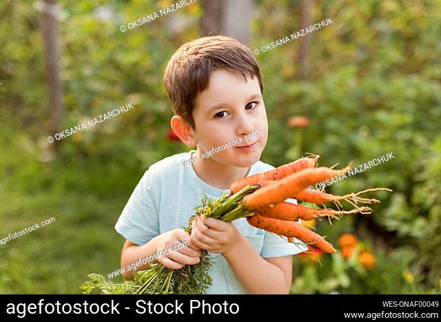 Cute boy holding carrots in garden