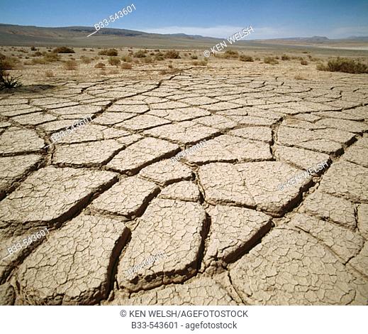 Drought in Atacama Desert. Chile
