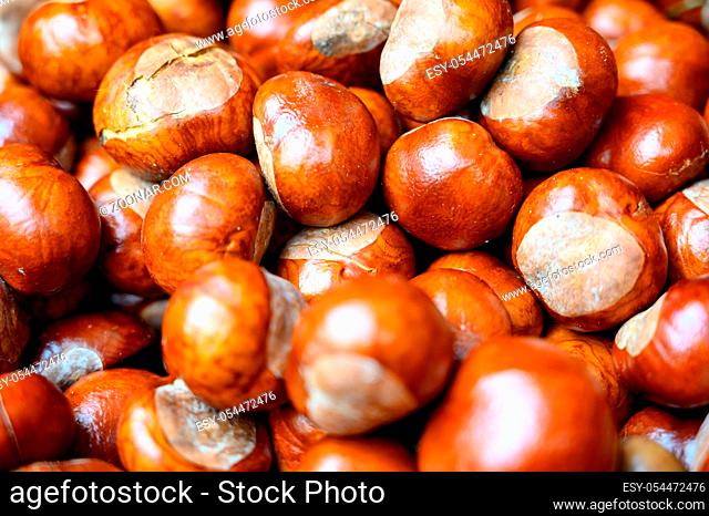 Kastanien auf einem Haufen als Hintergrund Chestnuts on a heap as a background