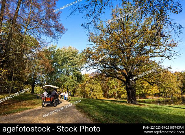 23 October 2022, Saxony, Bad Muskau: Excursionists are on foot and in a carriage on the paths in the Fürst Pückler Park in Bad Muskau in sunny autumn weather