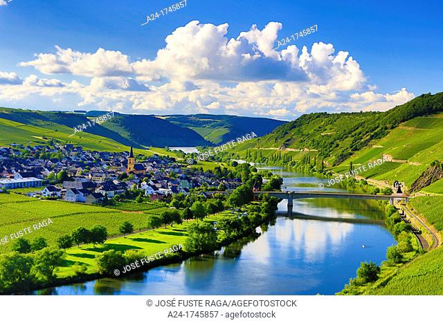 Germany , Moseltal , Mosel Valley , Trittenheim City, Mose River, vinyards