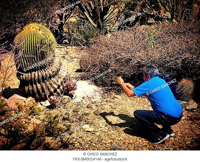 A man takes pictures of a big cactus in the garden of the Ex-Convento de Santo Domingo, Oaxaca, Mexico