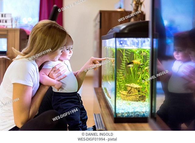 Mother and baby son looking at aquarium