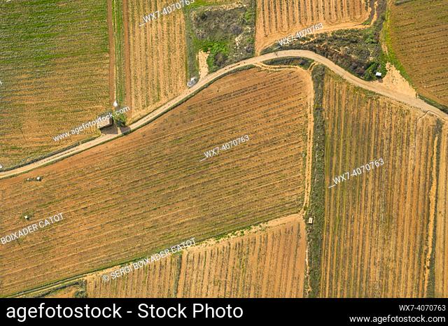 Aerial view of cultivated fields (fruit trees, vineyards and olive trees) in the Gandesa-Bot depression, in Terra Alta (Tarragona, Catalonia, Spain)