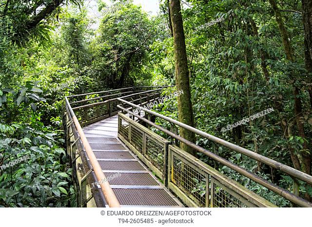 Jungle walkway at the Lower Trail, Iguazú National Park, Argentina