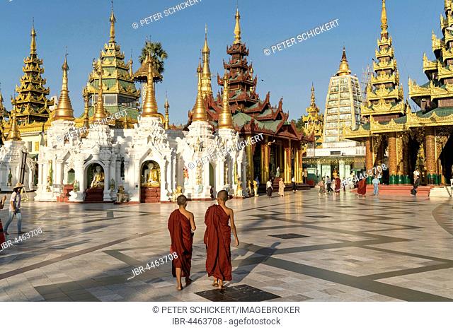 Monks in front of Shwedagon Zedi Daw, Shwedagon Pagoda, Yangon, Myanmar