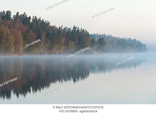 Typical lake in Sweden, surrounded by coniferous woods, first early light, absolutely quiet, calm water surface, little bit of morning mist, Scandinavia