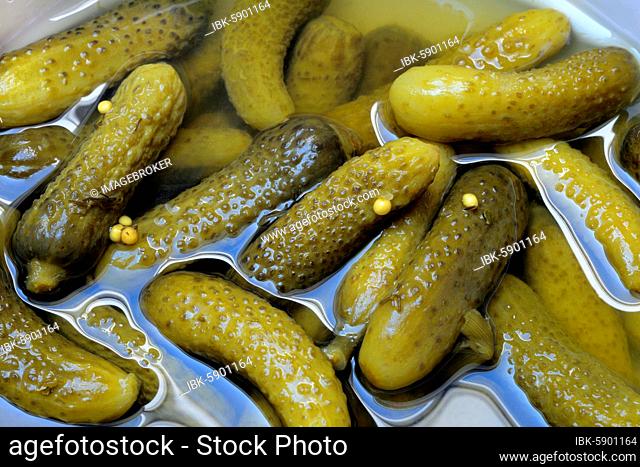 Cornichons, pickled gherkins, Germany, Europe