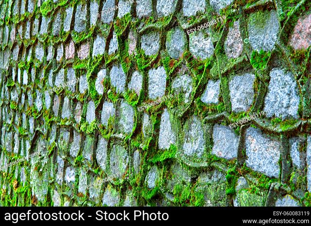 green moss covered the old stone wall